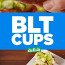 Blt