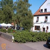 Waldhaus Knittelsheimer Mühle